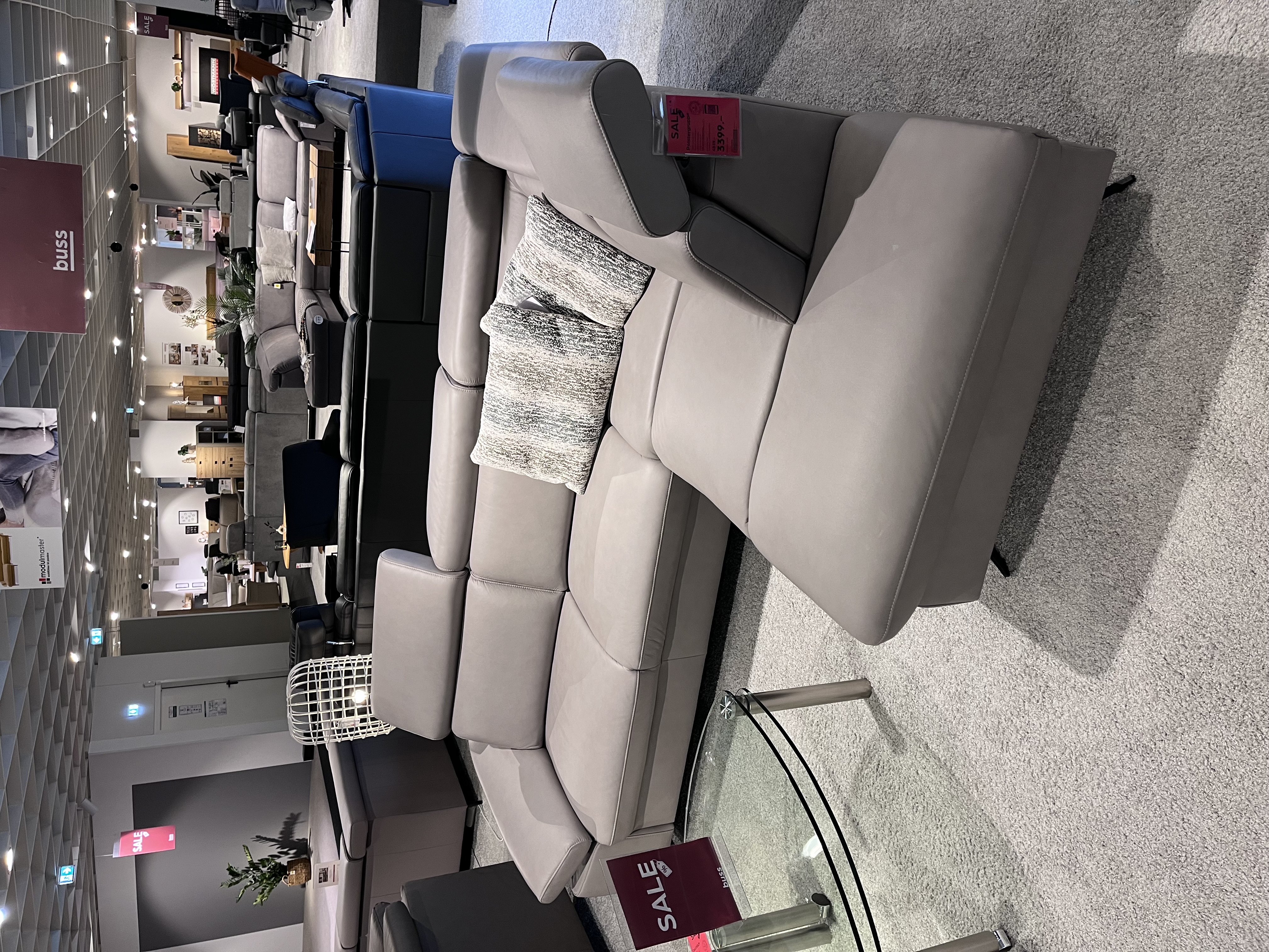 Modulmaster Polstergruppe MM-PN1161 in Leder Vivre alu 120