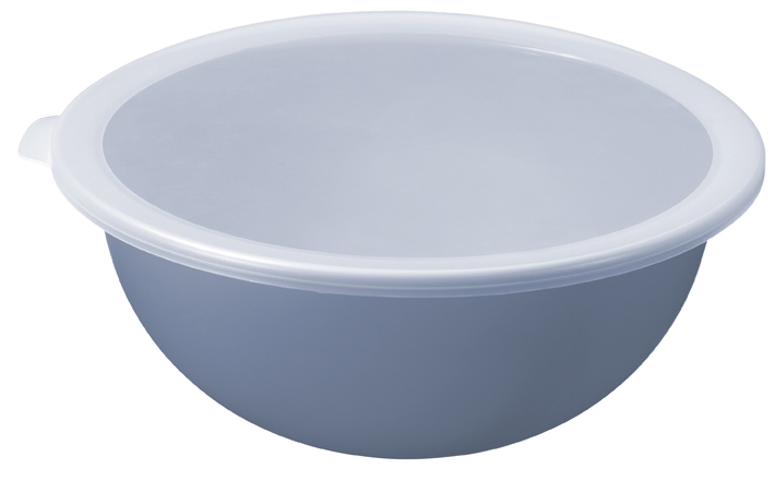 Rotho Schüssel mit Deckel CARUBA in Farbe Horizon Blue