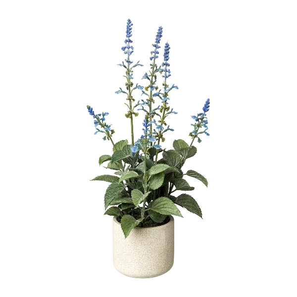 Salvie im Zementtopf 45cm 1121000-90 in Blau Gasper Salvie im Zementtopf in Farbe Blau