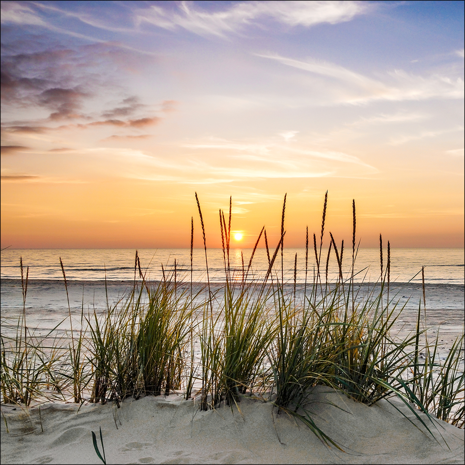 PRO ART Glas-Art 50x50cm Lonely Dune