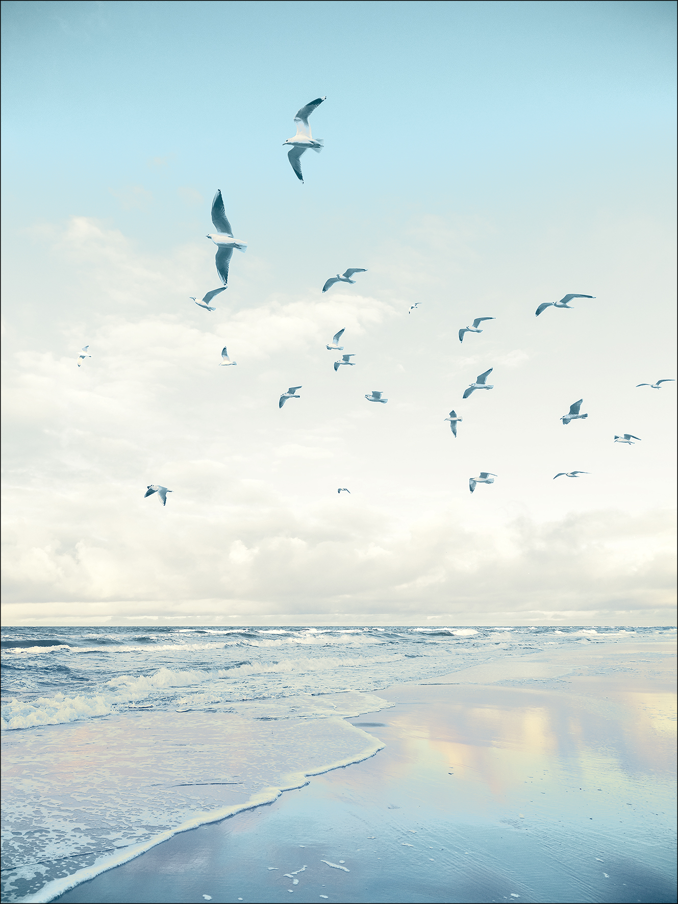 ProArt Glas-Art 60x80cm Seagulls On The Beach