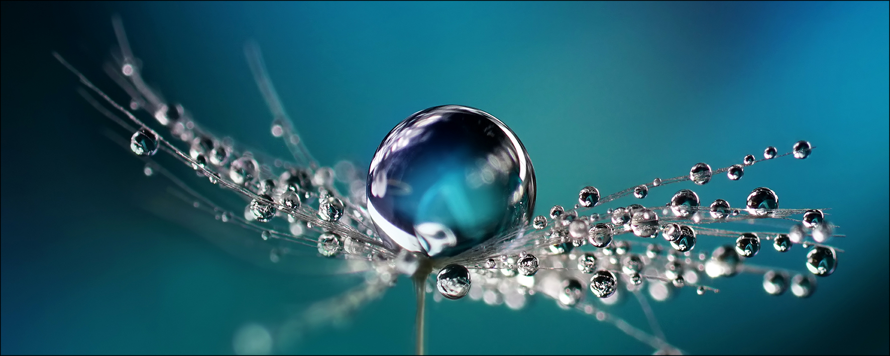 ProArt Glas-Art 125x50cm Drop On Water