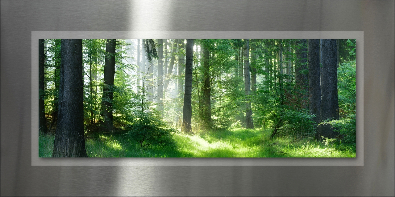 PRO ART Double-Alu -Acryl bedruckt mit Aufsatz aus Acryl 100x50cm Mystic Forest I, Pflanzenwuchs, Baum, Hain, Wald, Sonnenlicht