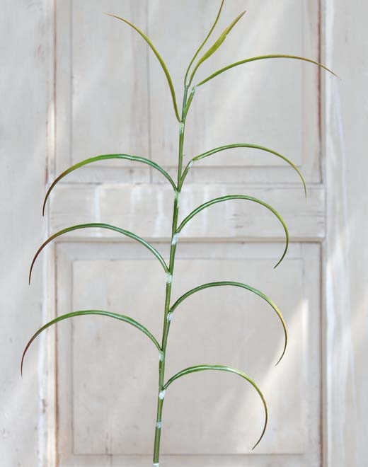 // Bambuszweig // grün // Höhe ca. 100 cm