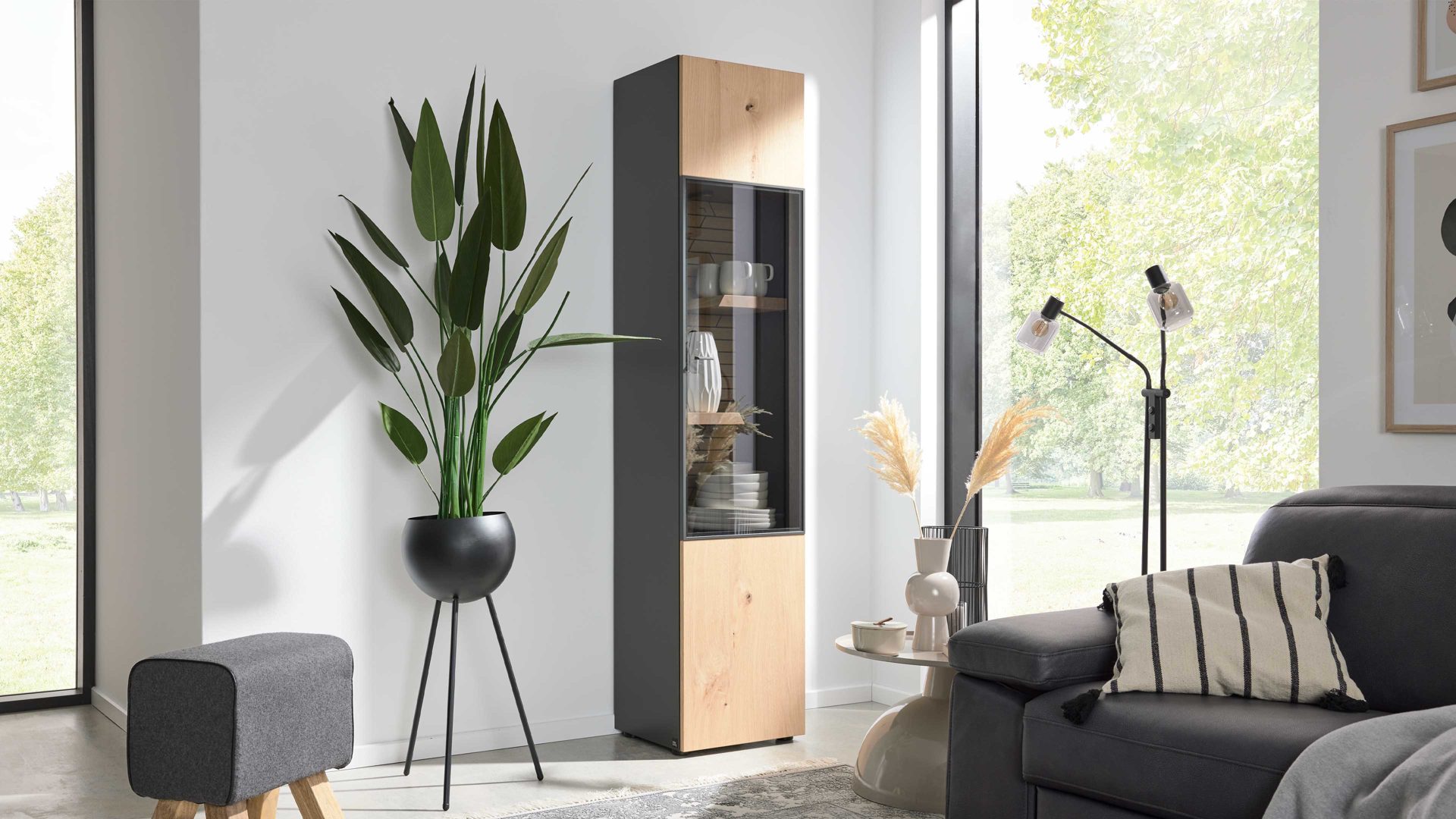 Interliving Vitrine 2108 ca. 44x204x41cm in Schiefer/Wildeiche