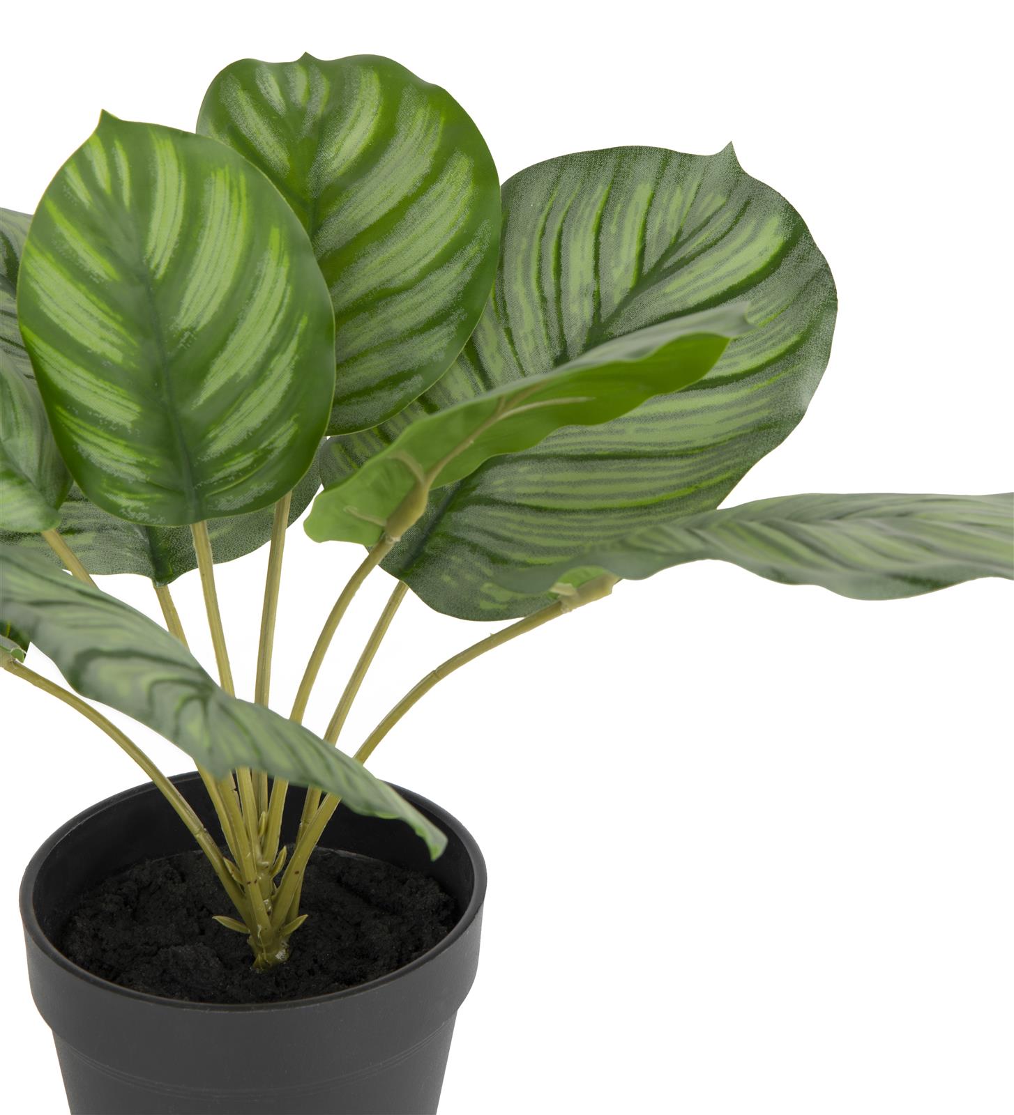 Coco Maison Kunstpflanze  ca. H45 cm in Calathea Orbifolia