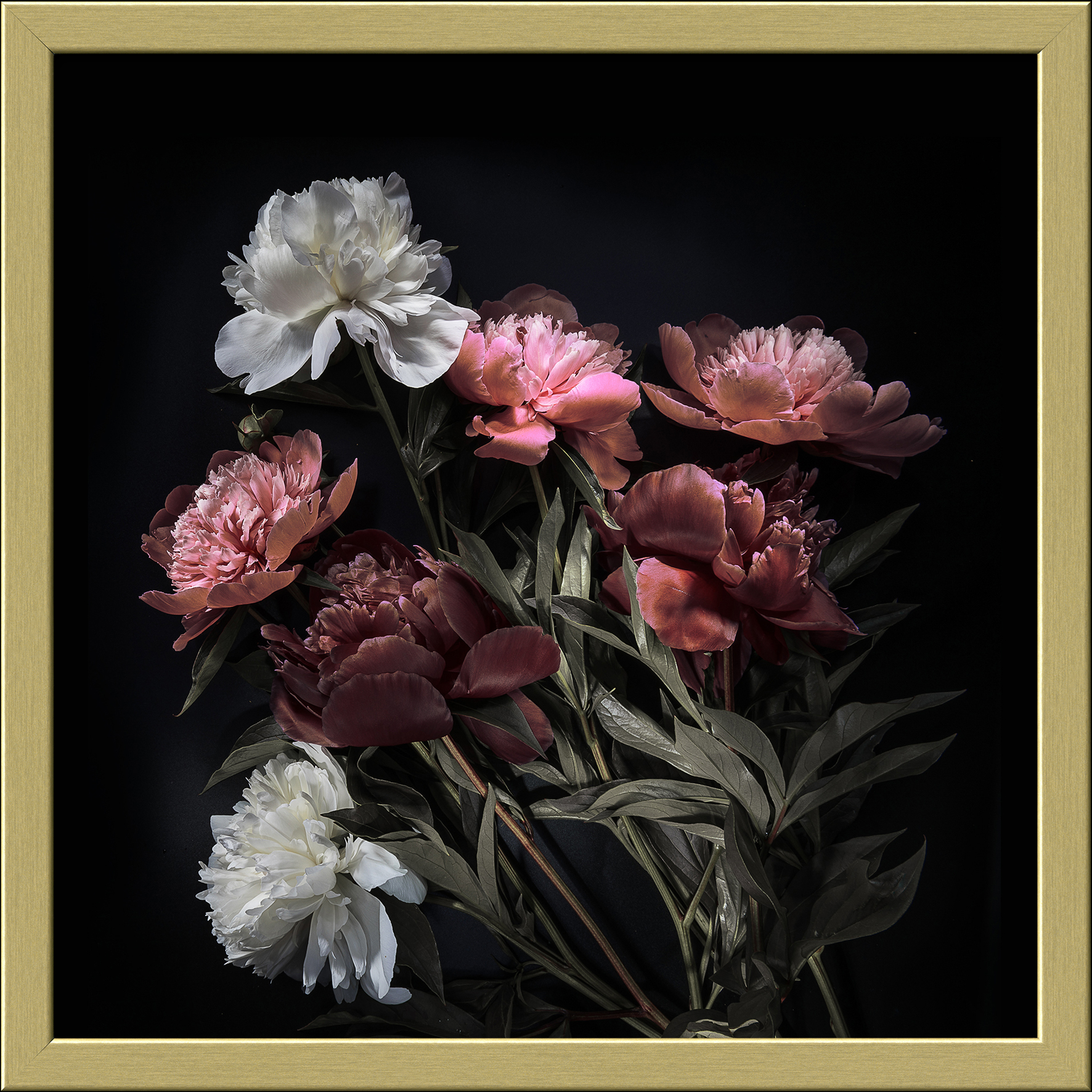 ProArt Framed-Art Slim Scandic 28x28cm Beautiful Roses V