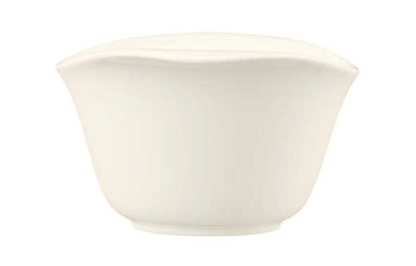 Seltmann Weiden Eventbowl oval 5257  18cm Zoé 3