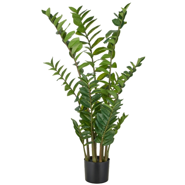 Roomio Zamifolia JAWA Durchmesser ca. 17 cm, Höhe ca. 110 cm in Fb. grün, Blatt, Pflanze, Farn