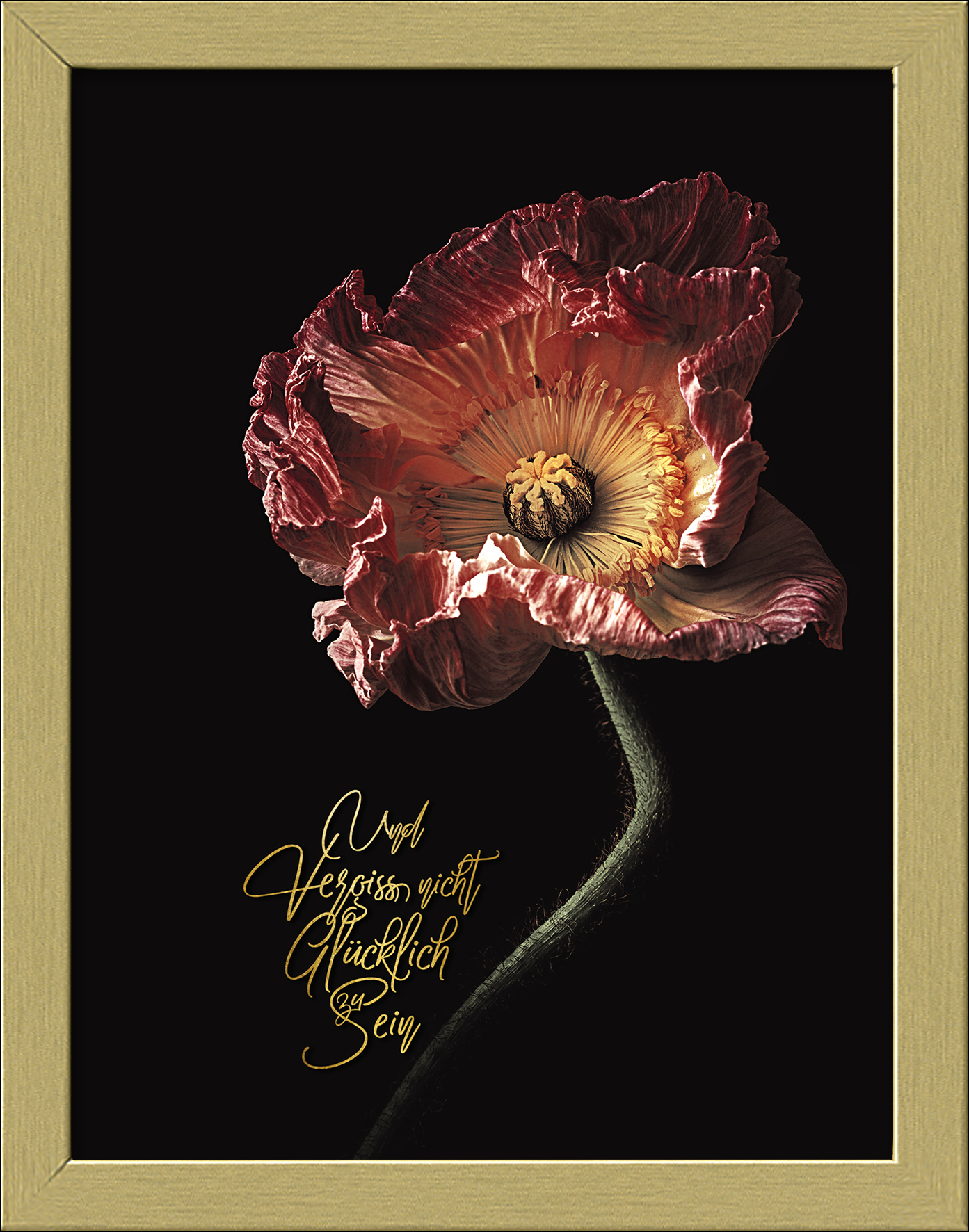 ProArt Framed-Art Slim Scandic 19x24cm Beautiful & Gold IV