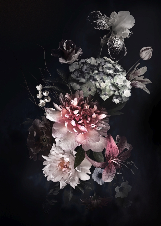ProArt Alu-Art 70x100cm Baroque Roses II