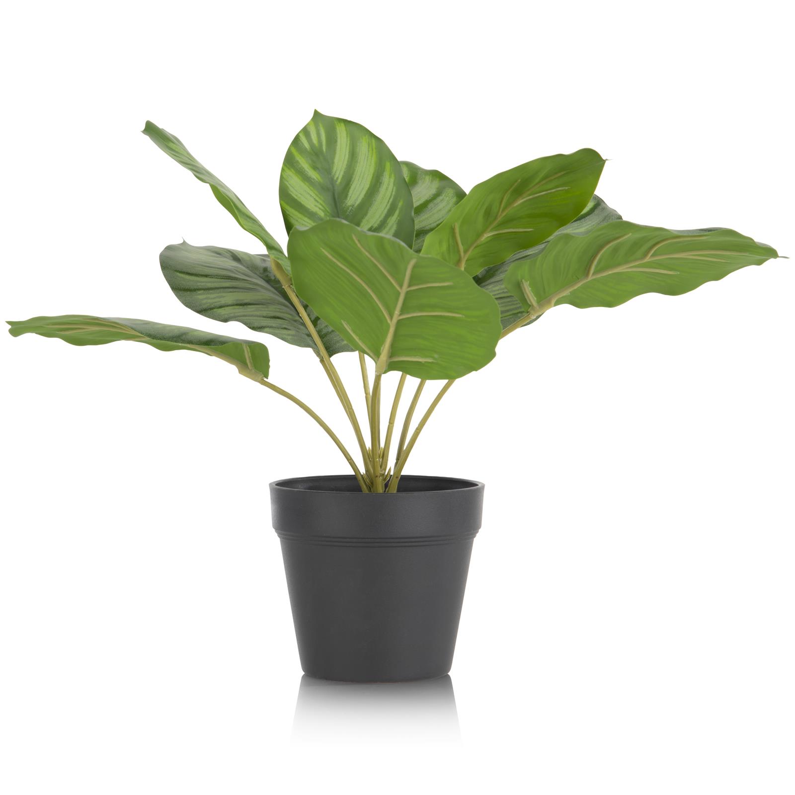 Coco Maison Kunstpflanze  ca. H45 cm in Calathea Orbifolia