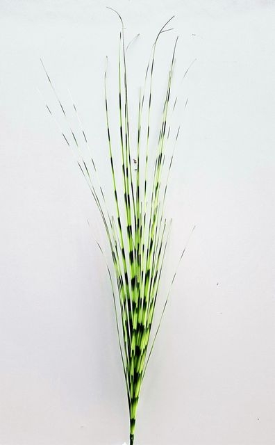 // Graszweig camouflage // grün-gelb // Höhe ca. 100 cm