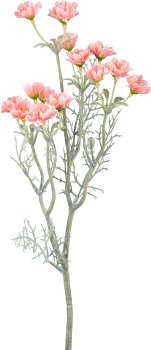Mageritenzweig 55cm pfirsich  in