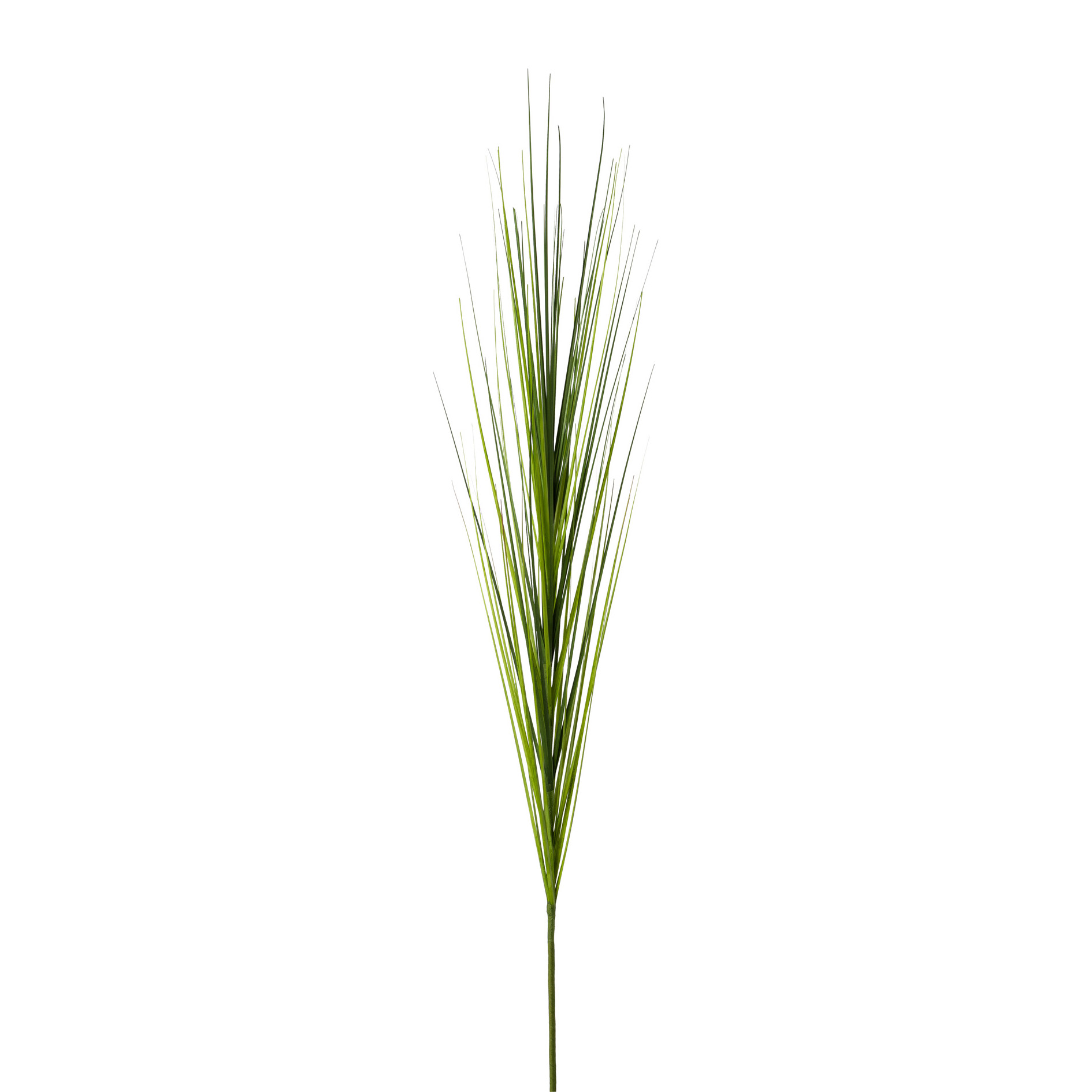 Gasper Isolepsis VADA in grün-mix