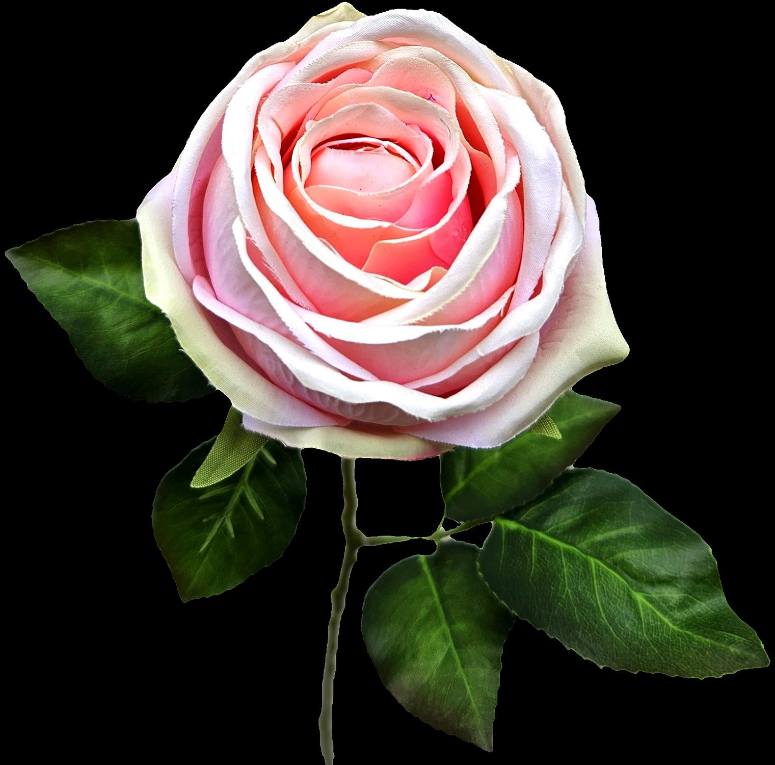 Andreas Englische Rose,66cm KUNSTBLUME in pink