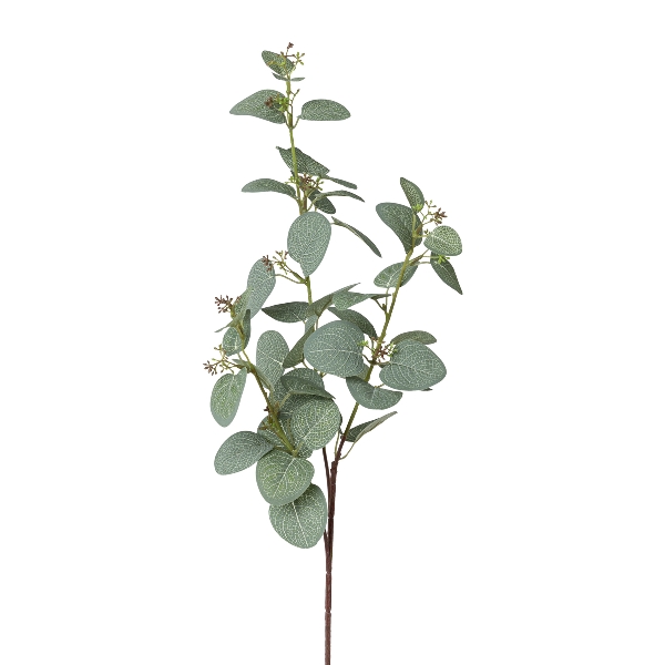 Gasper Eukalypthuszweigx3,H72cm  ca.H72cm in grün